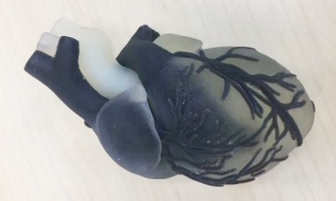 人工心脏3D打印模型